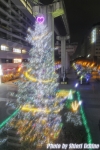 立川　クリスマスツリー
