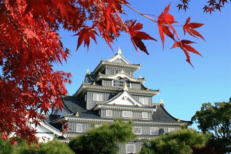 okayama castle