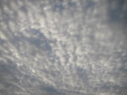 8月11日夕方のウロコ雲
