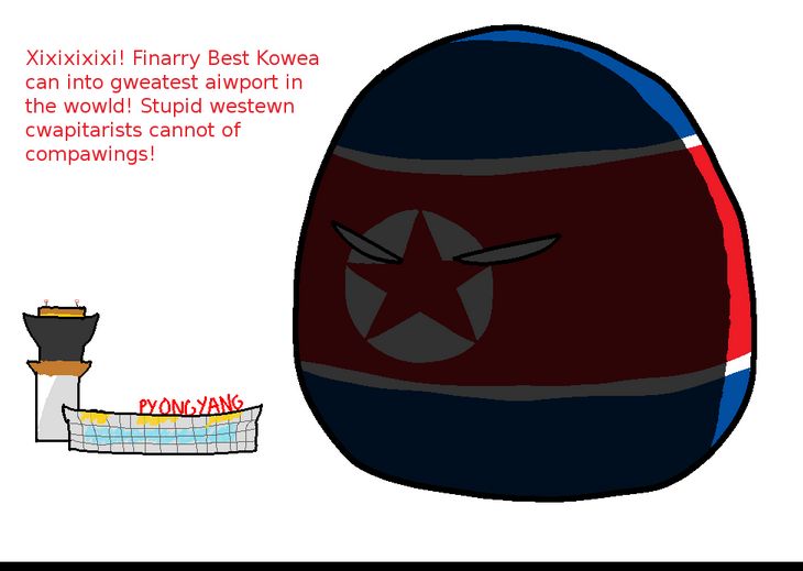 北朝鮮の高空飛行水準 (1)