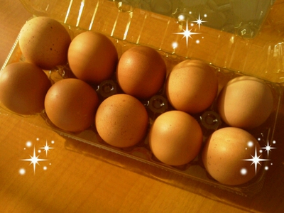 大寒の卵