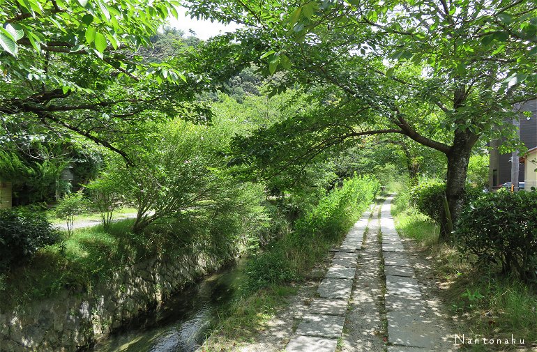 京都　銀閣寺から南に　哲学の道をのんびり散策　5
