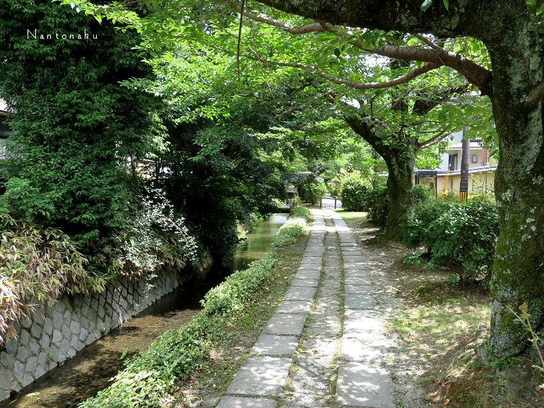 京都　銀閣寺から南に　哲学の道をのんびり散策　4