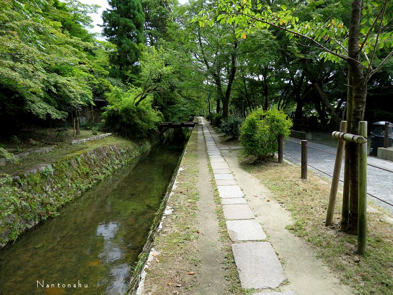 京都　銀閣寺から南に　哲学の道をのんびり散策　3