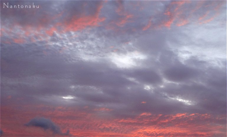 夏の夕焼けの空を泳ぐイルカ雲