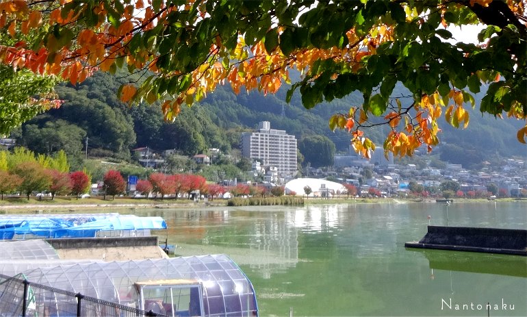 長野県　諏訪湖　10月のはじめ頃