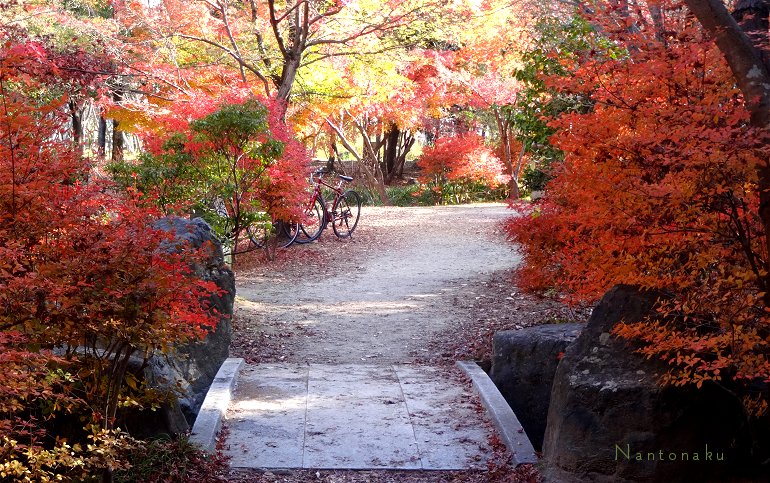 京都駅から徒歩で行ける梅小路公園　１