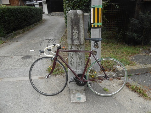 cycling-699.jpg