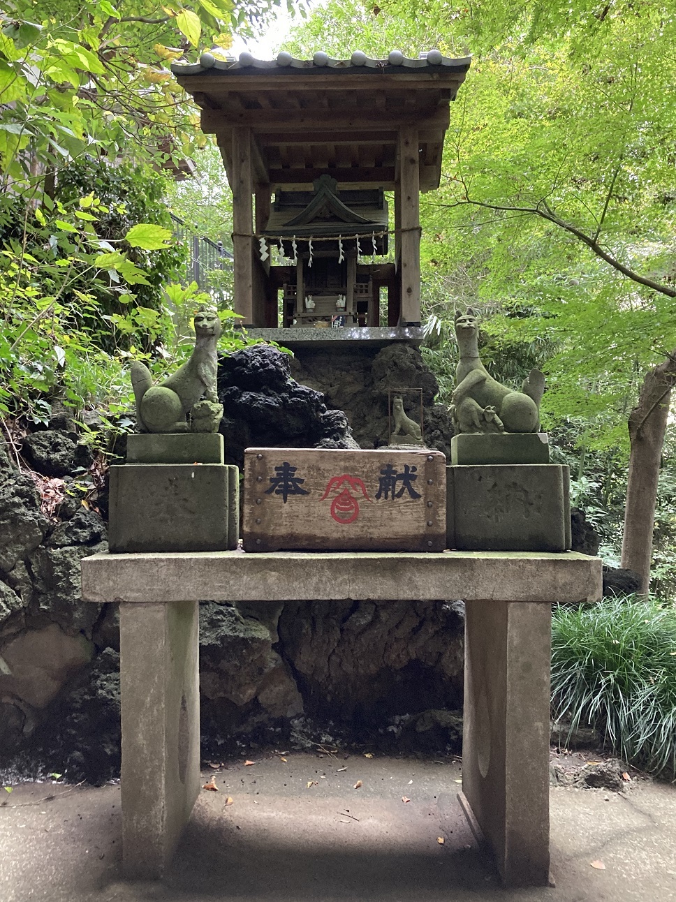 20221018 miyoshino-shrine-20