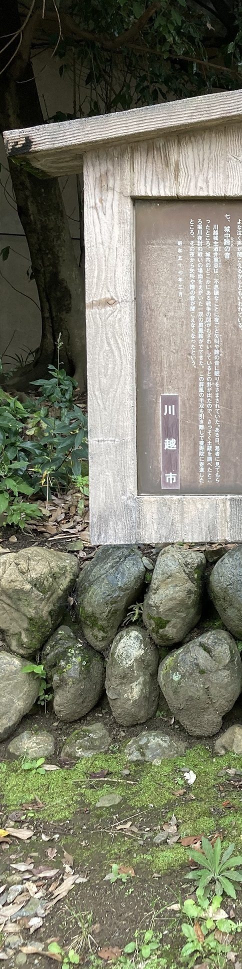 20221018 miyoshino-shrine-20