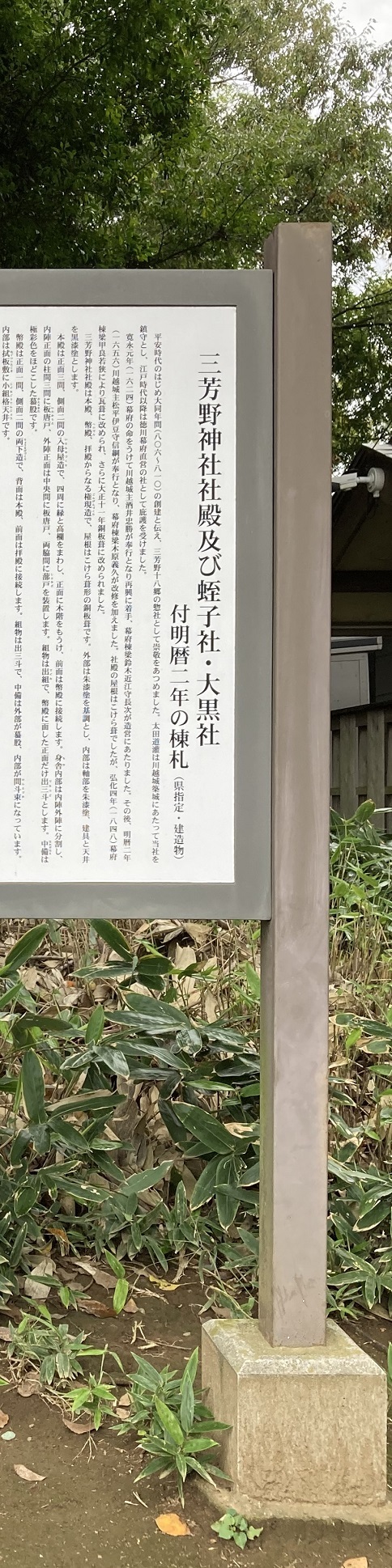 20221018 miyoshino-shrine-18