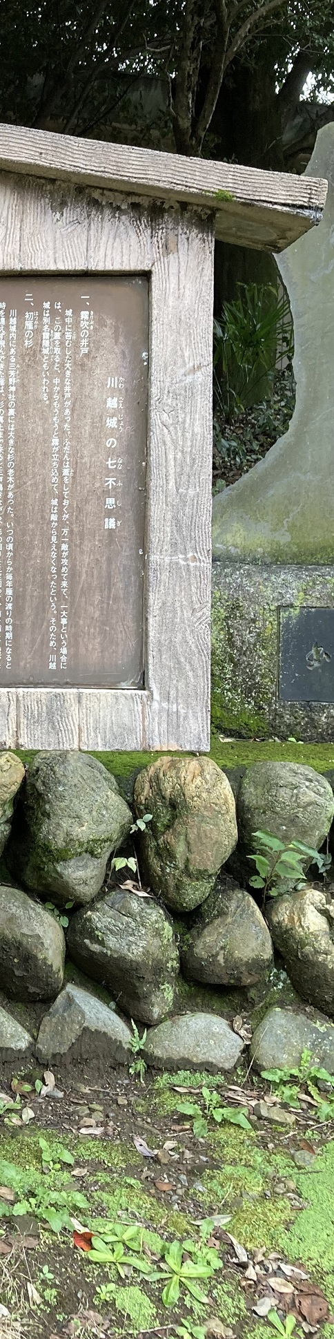20221018 miyoshino-shrine-22