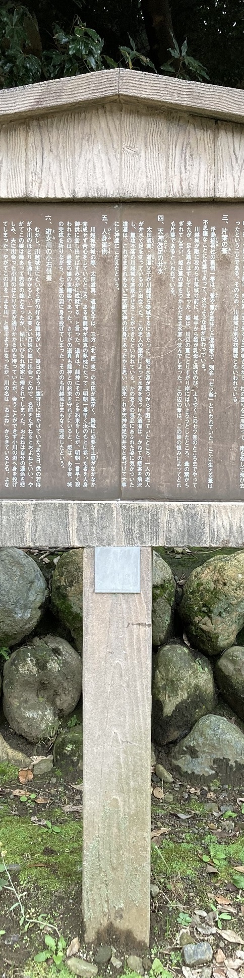 20221018 miyoshino-shrine-21