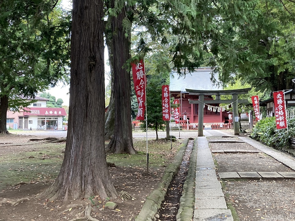 20221018 miyoshino-shrine-26