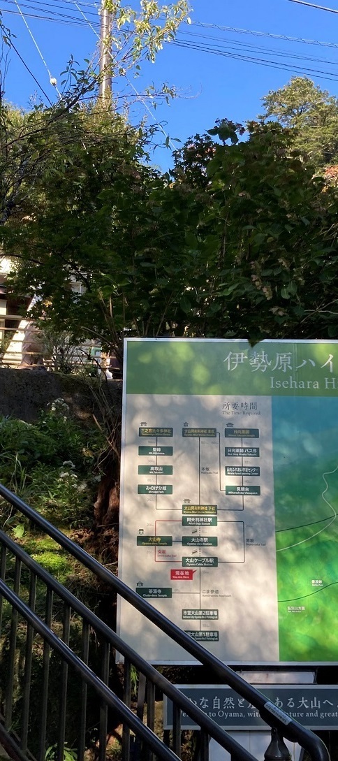 20221023 ohyama-afuri shrine-17