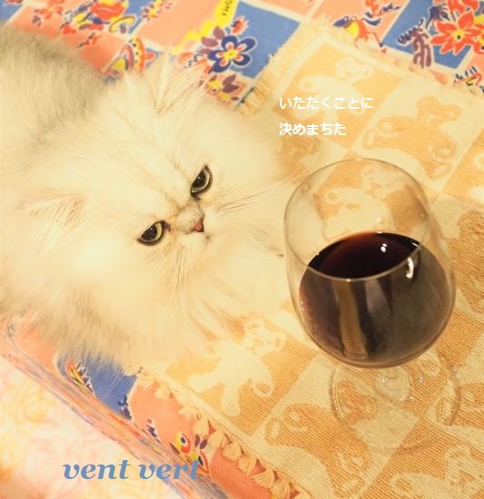 猫にワイン11