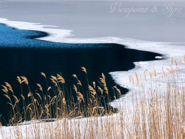 河口湖　湖畔の雪景色