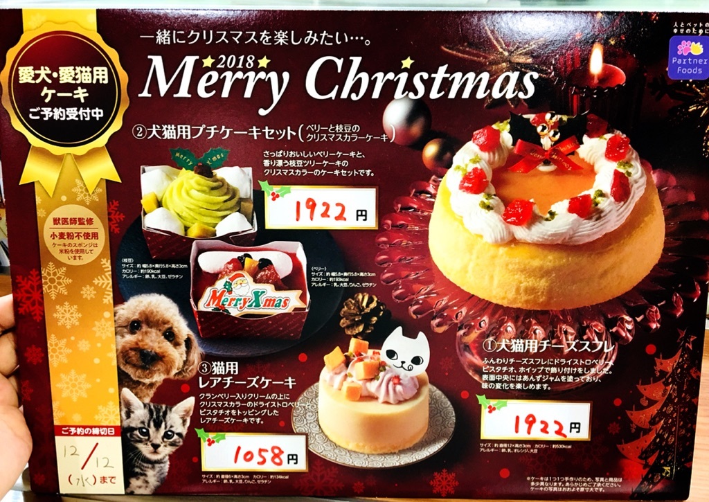 ひごペット岸和田 犬 猫用クリスマスケーキ予約受付中 ひごペットクラブ