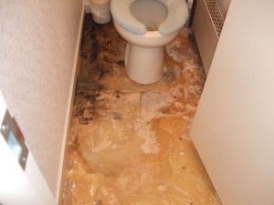 トイレの既存の床