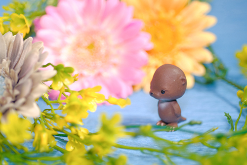 ツバキアキラが撮ったトコトコアニマルズの写真。水面をイメージして花を散らした中にたたずむ、河童くんとカワウソくん。