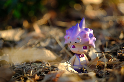 ツバキアキラが撮った、POPMART・DIMOO・はぐれ動物シリーズ。枯れ葉の中に浮かび上がるような、紫色のハリネズミくん。