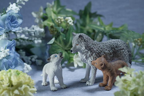 ツバキアキラが撮ったSchleich・オオカミの親子の写真。お花の中で仲良くくつろいでいる。