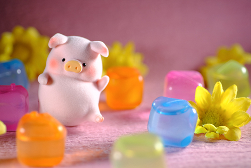 ツバキアキラが撮った、子豚のLuLu。カラフルなアイスキューブと一緒にポップなイメージで。
