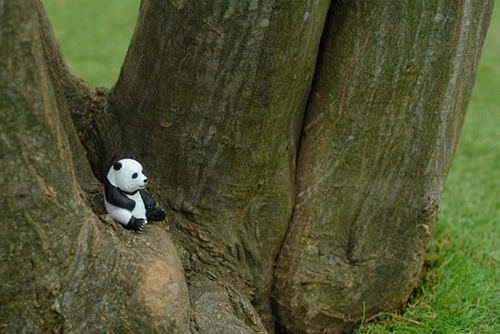 ツバキアキラが撮った、パンダのフィギュア。大きな木のもとに、ポツンと座っているパンダ。