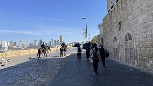 small-size-jaffa-horses-and-people.jpg
