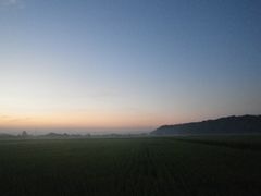 ［写真］農園前の田んぼに広がる朝靄の様子