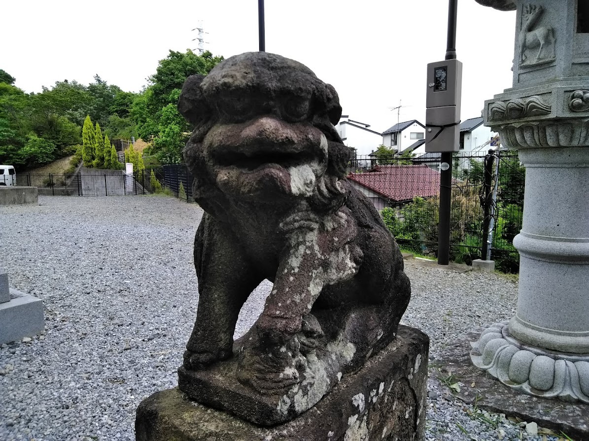 琴平神社本殿の狛犬２