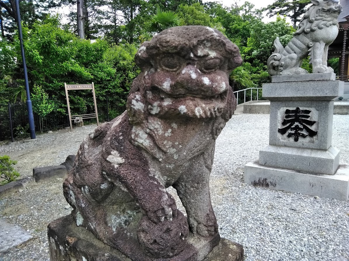 琴平神社本殿の狛犬１