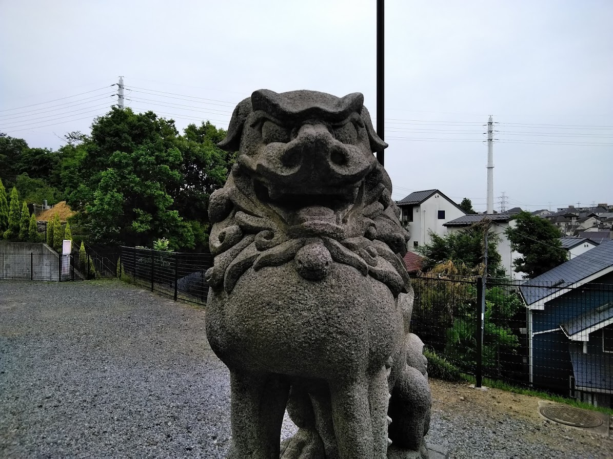 琴平神社本殿の狛犬４