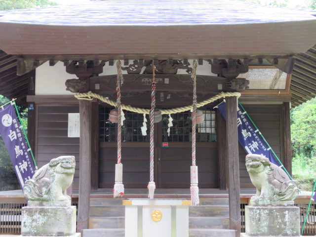 白鳥神社の拝殿・本殿５