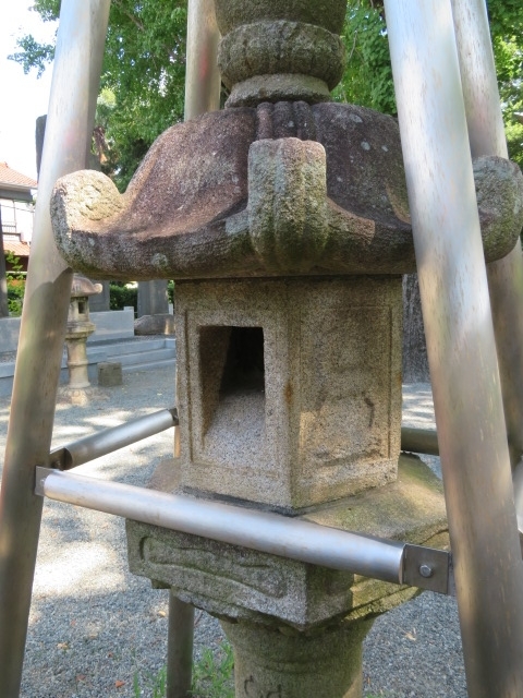 登戸稲荷神社の神狐３