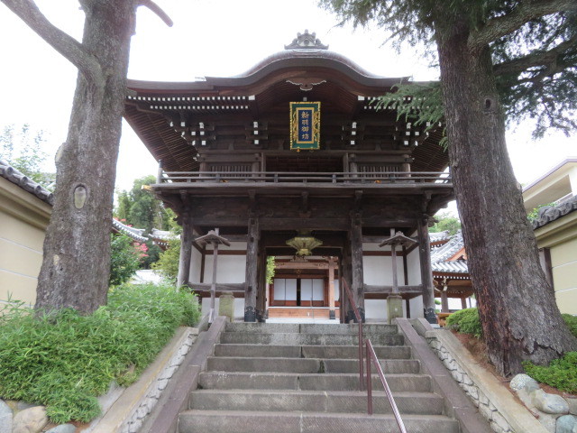 善教寺の山門２