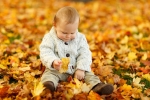 落ち葉の上の赤ちゃんの画像