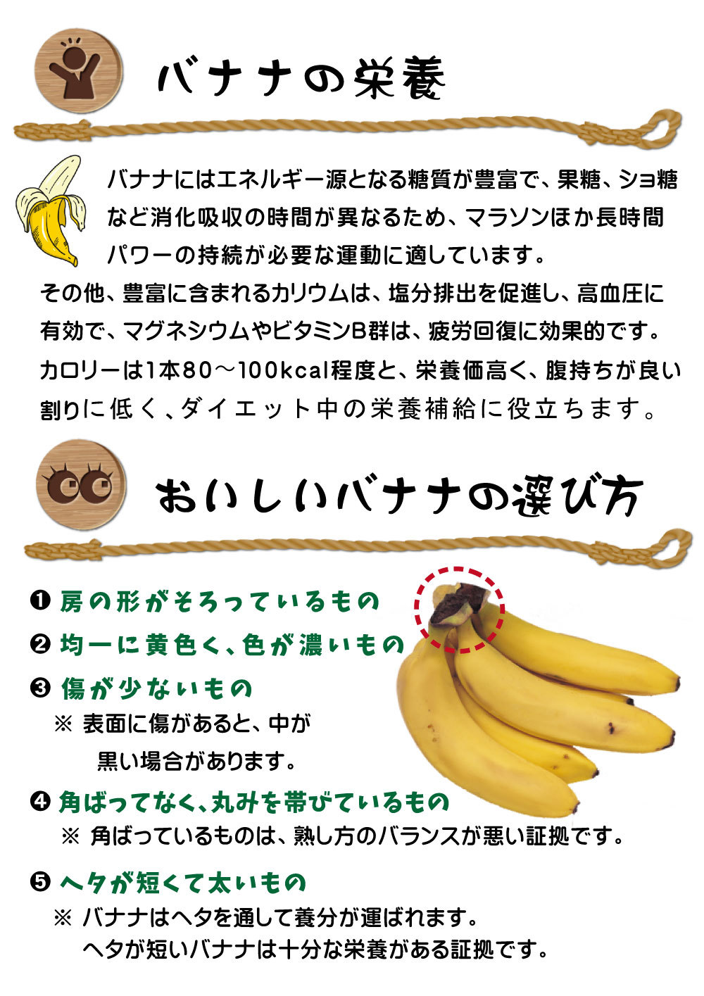 3~4_V106-バナナ(カラー)2
