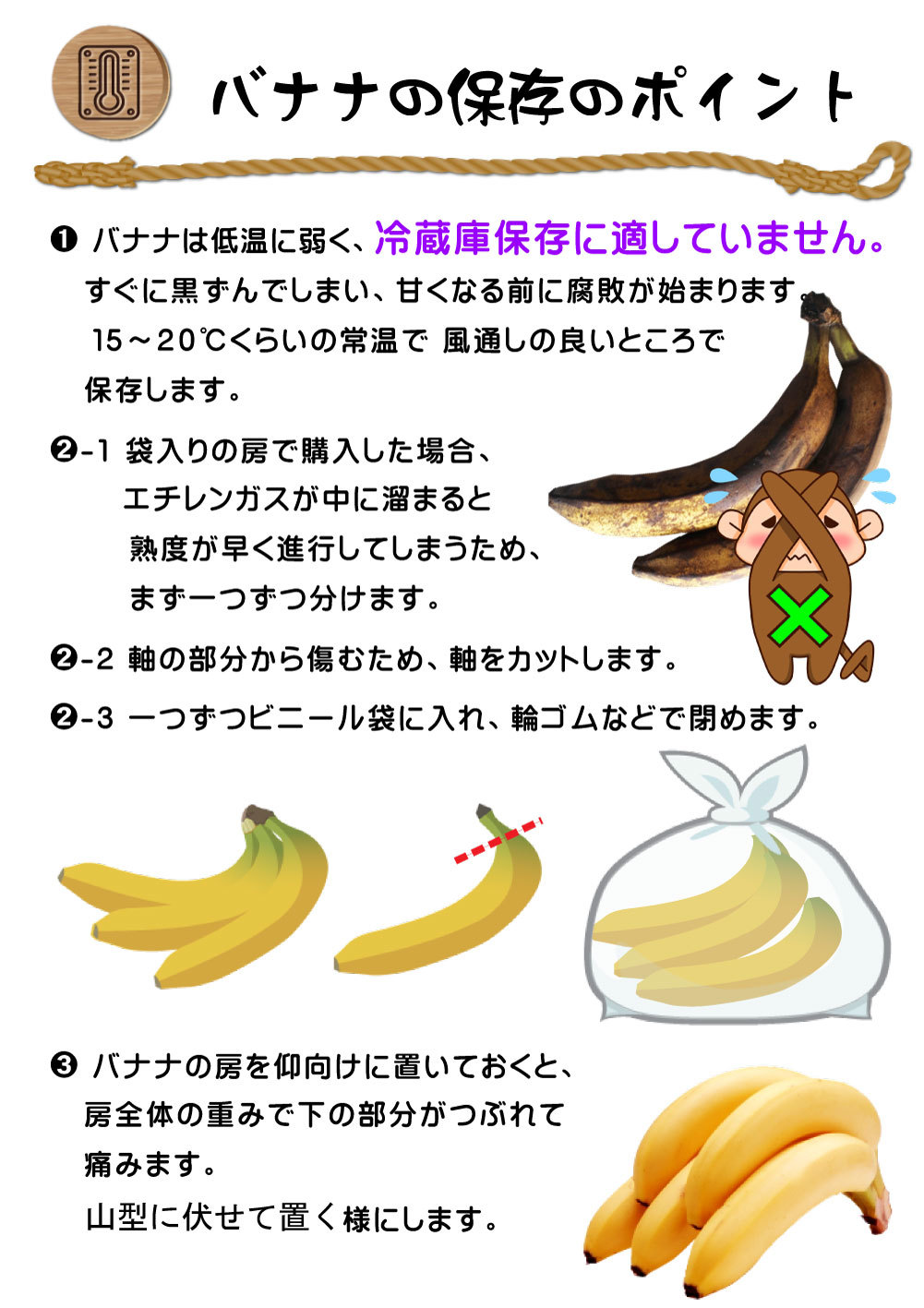 3~4_V106-バナナ(カラー)3