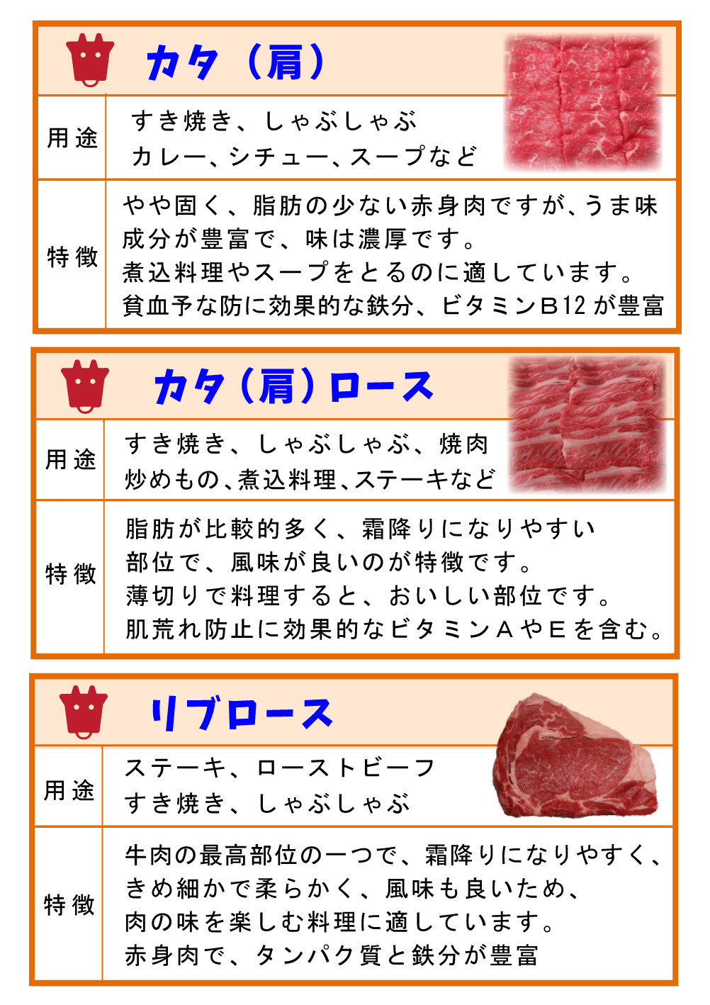 5~6_V106-牛肉②(カラー)2