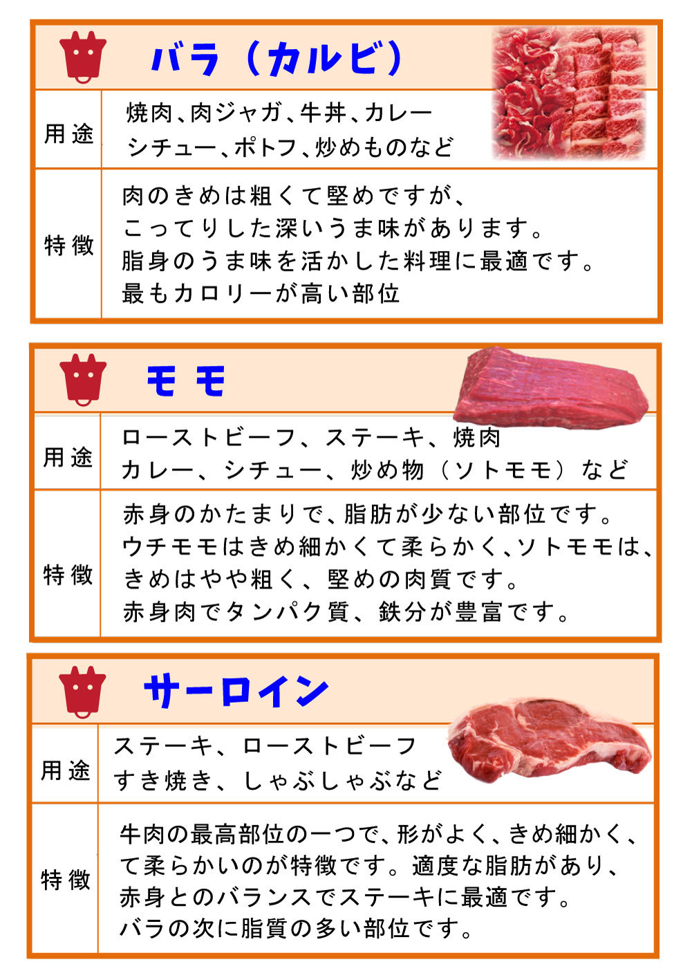 5~6_V106-牛肉②(カラー)3