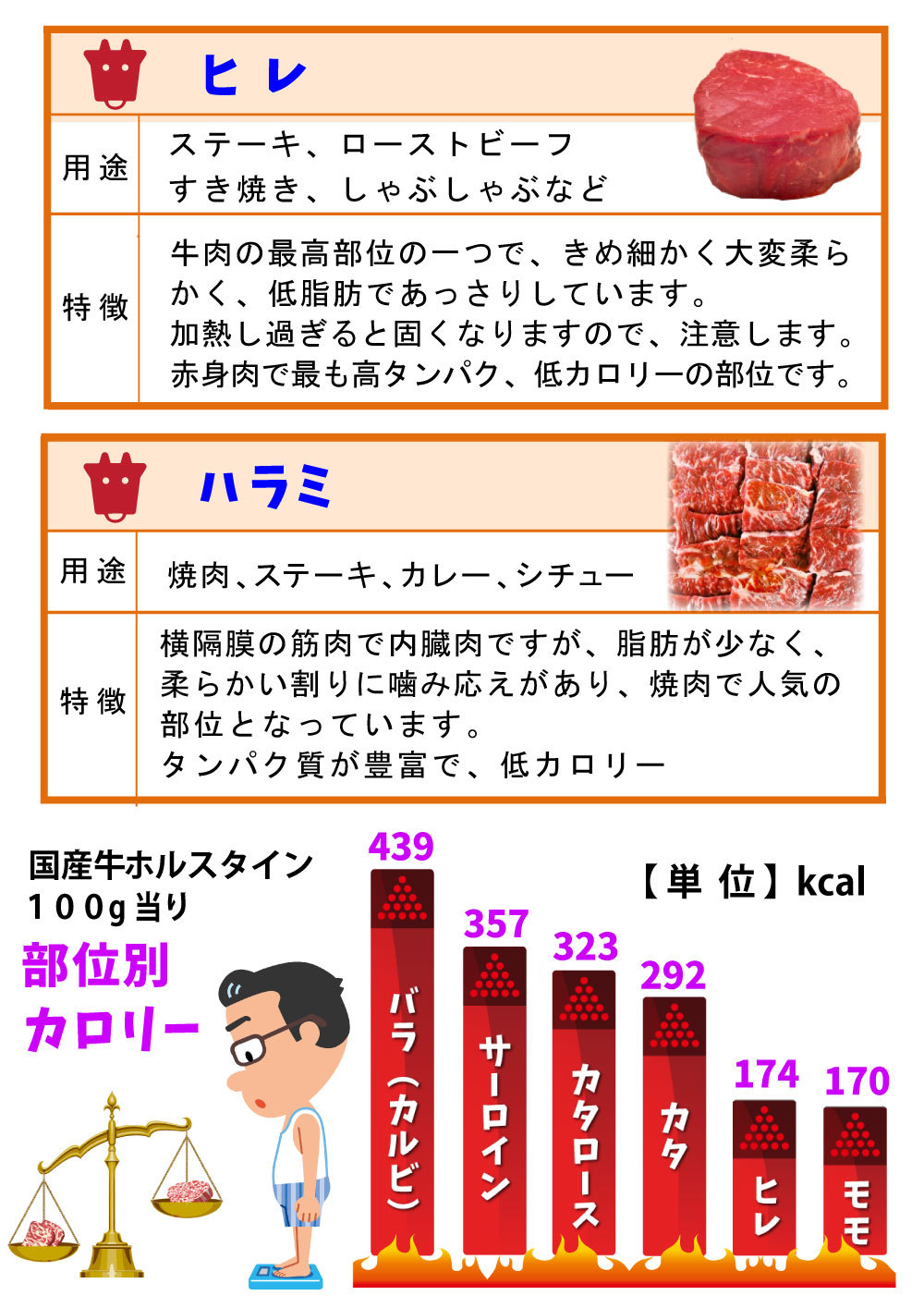 5~6_V106-牛肉②(カラー)4