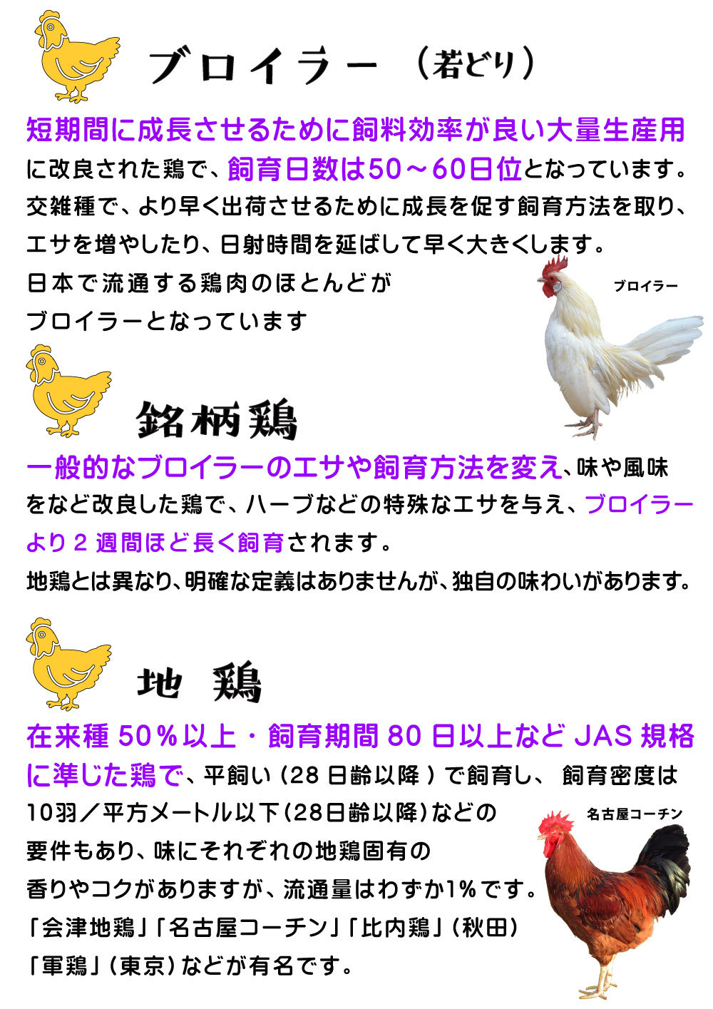 5~6_V111-鶏肉①(カラー)2