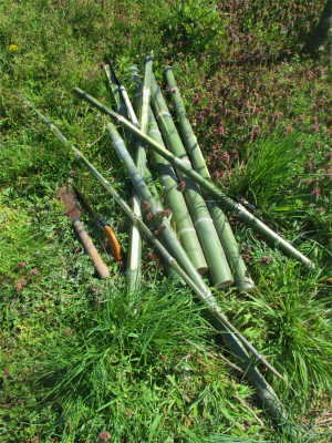 220401支柱用竹を確保