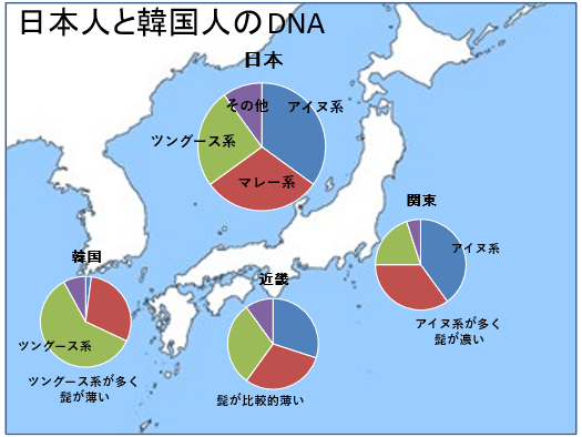 日本人のルーツ、アイヌ系、マレー系ツングース系割合