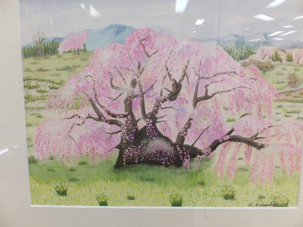 三春の滝桜 (2)